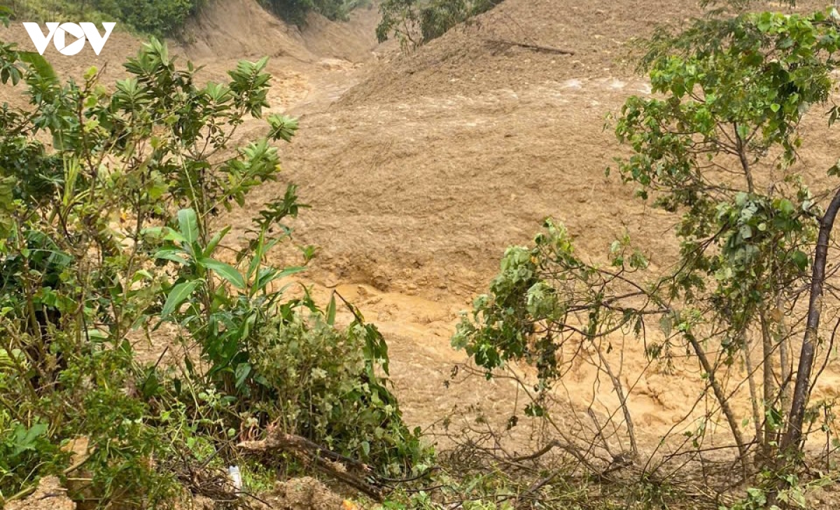 no lon, mot qua doi sat lo trong dem vui lap nhieu gia suc, hoa mau o quang ngai hinh anh 1