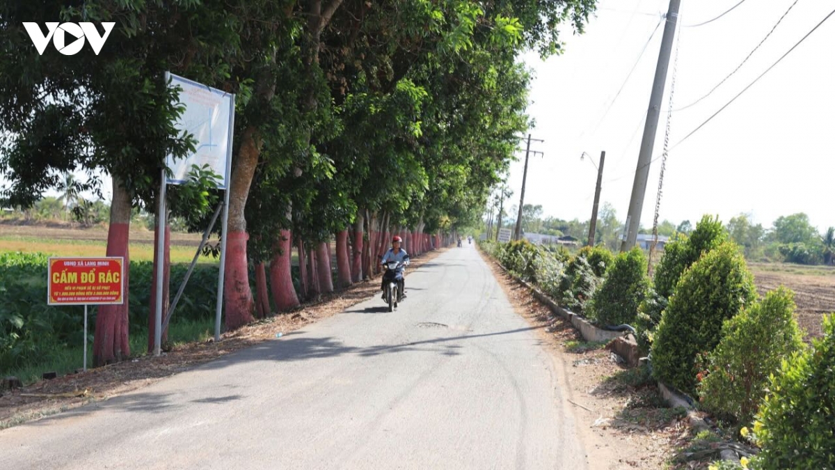 Dong nai but pha nong thon moi huong den muc tieu hien dai, hanh phuc hinh anh 1