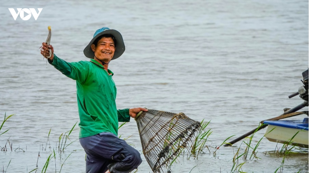 mua nuoc noi vinh te - buc tranh song dong cua mien song nuoc hinh anh 1