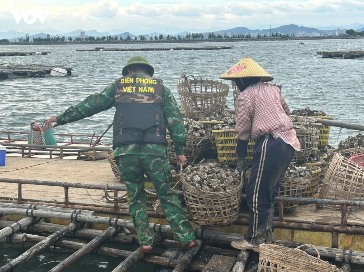 quang ninh dam bao an toan, doi song cho nguoi dan tranh tru bao hinh anh 3