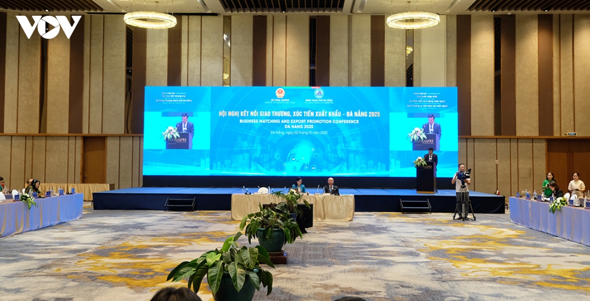 Da nang tim co hoi ket noi giao thuong, xuc tien xuat khau hinh anh 1