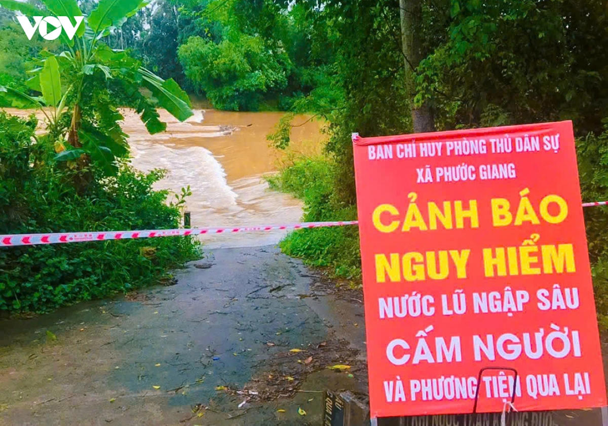 quang ngai ban phao hieu bao bao, keu goi tau thuyen vao bo tranh tru hinh anh 3