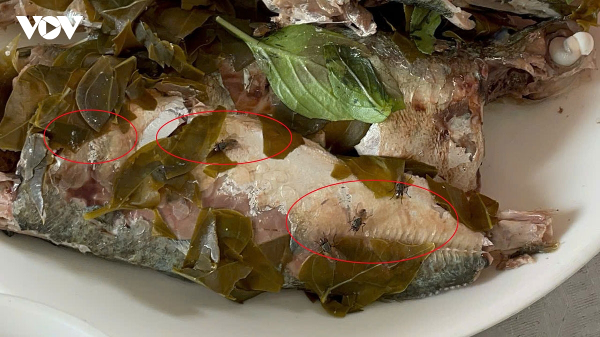 khu dat cho lam cong vien o tp.hcm thanh bai tap ket rac, dan khon kho vi o nhiem hinh anh 5