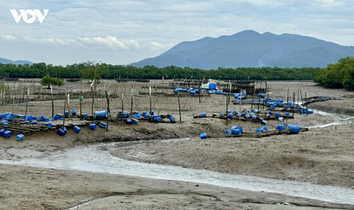 tphcm trao sinh ke, khong de ai bi bo lai phia sau hinh anh 2