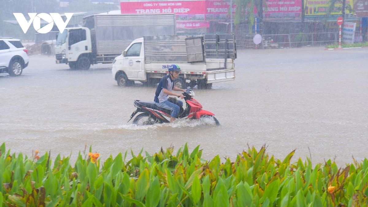 mua nhu trut trang troi, nhieu tuyen pho ha noi co nguy co bien thanh song hinh anh 2