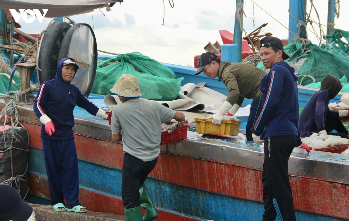 hon 1.300 phuong tien bat xa bo cua tphcm vao bo, tru tranh an toan hinh anh 1