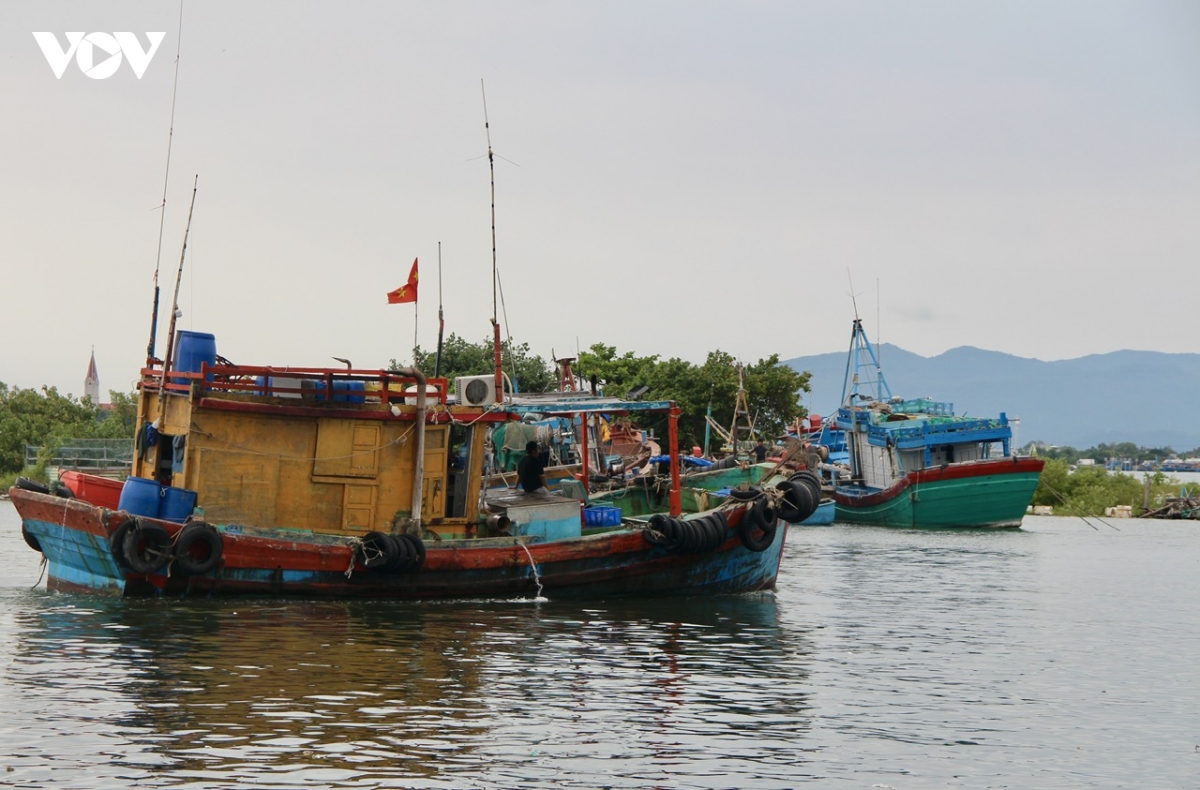 hon 1.300 phuong tien bat xa bo cua tphcm vao bo, tru tranh an toan hinh anh 2