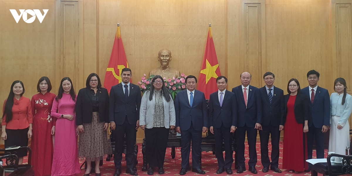 viet nam - venezuela thuc day hop tac dao tao, boi duong can bo hinh anh 1