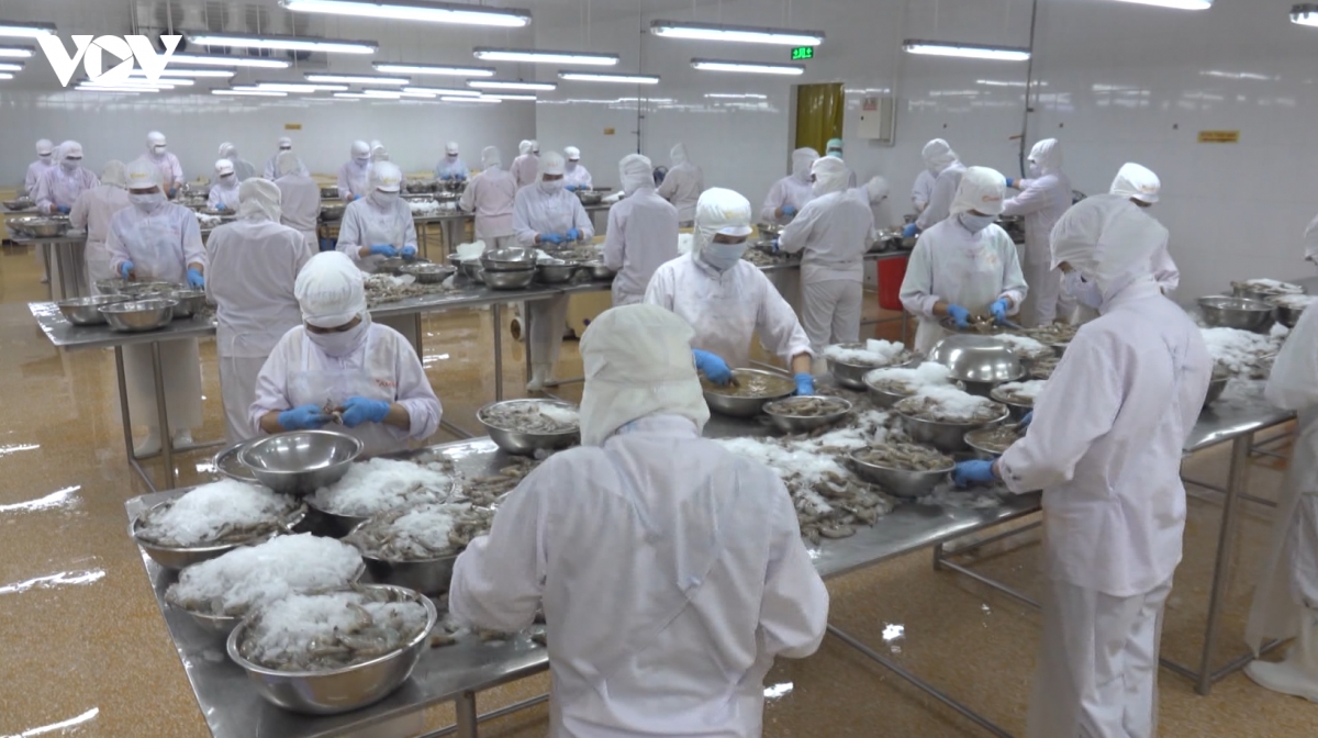 mo hinh tang truong moi - chia khoa de viet nam thoat bay thu nhap trung binh hinh anh 1