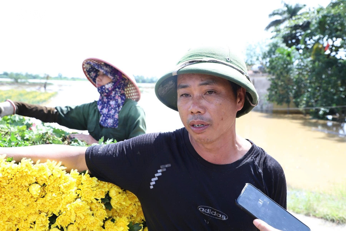 lu du cuon troi giac mo tet cua lang hoa my tan, ninh binh hinh anh 3