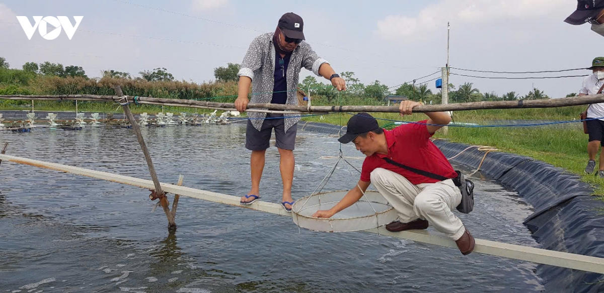 trien lam thuy san quoc te 2026 cu hich doi moi tu duy cho nguoi nuoi hinh anh 2