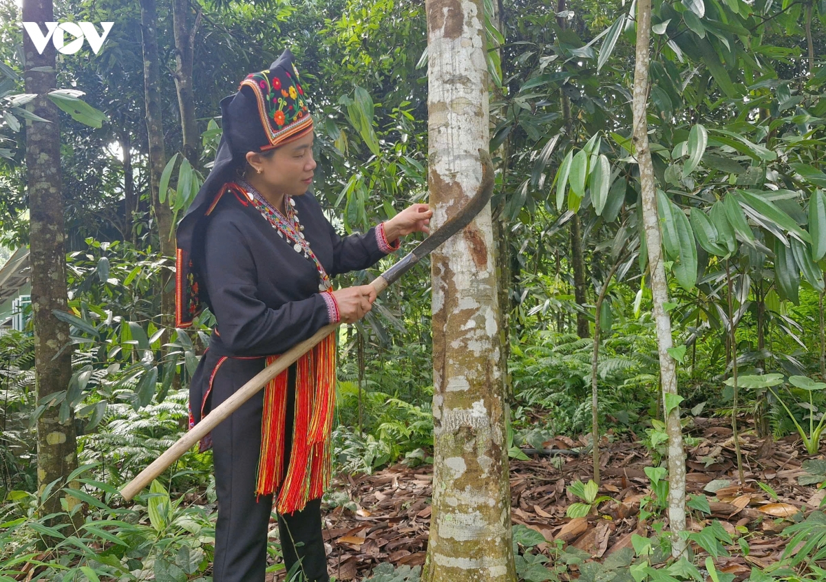 nhung bong hoa dep lam giau cho ban lang o lao cai hinh anh 1