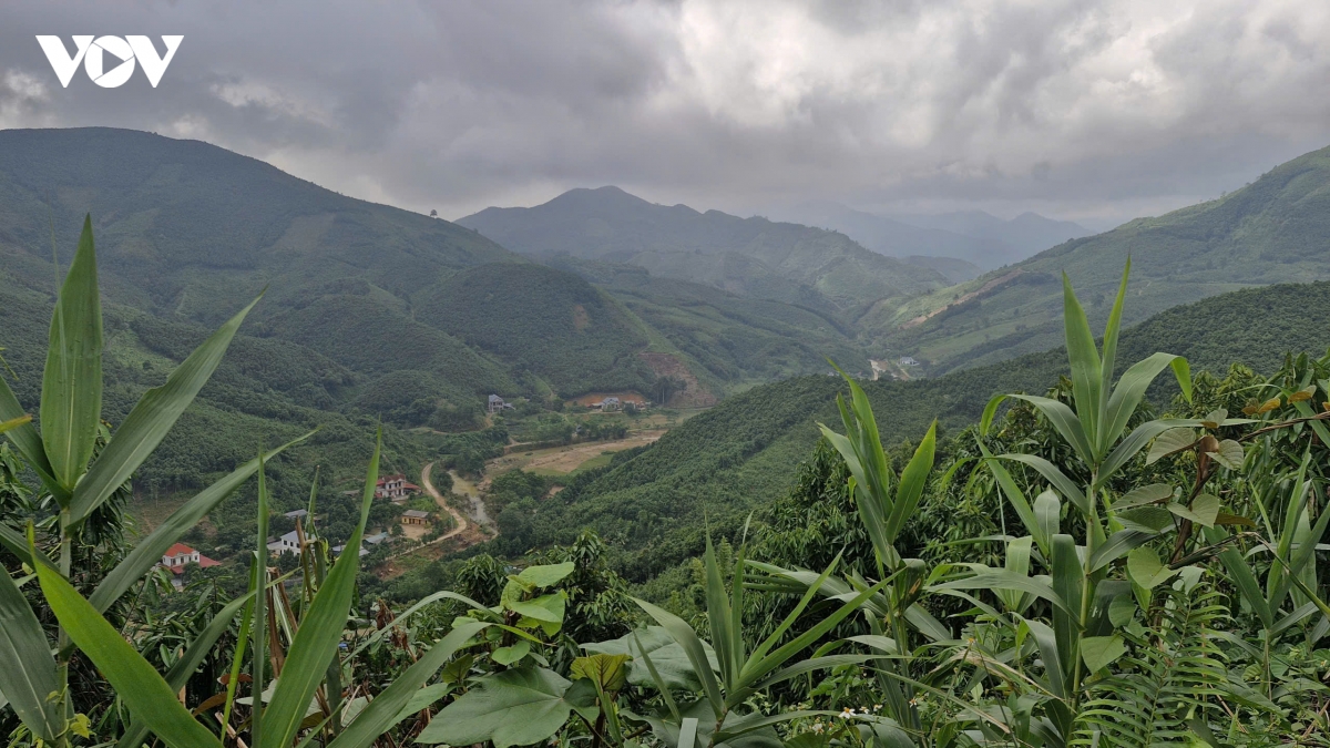 nhung bong hoa dep lam giau cho ban lang o lao cai hinh anh 6