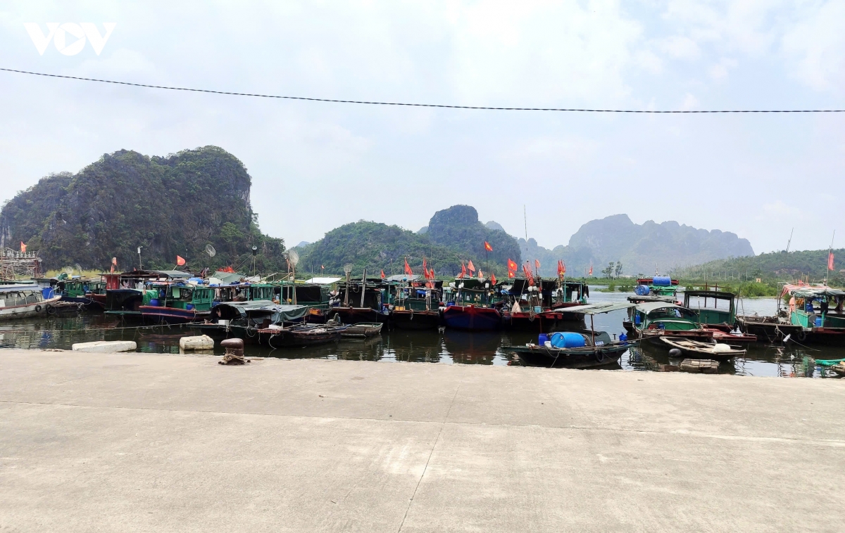 quang ninh xoa tau ca 3 khong , chung tay go the vang iuu hinh anh 1