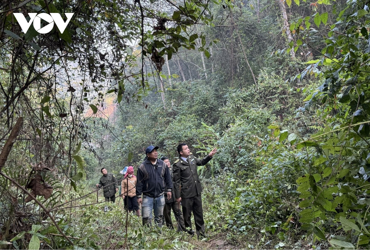 hop tac bao ve rung khu vuc bien gioi son la - hua phan lao hinh anh 1