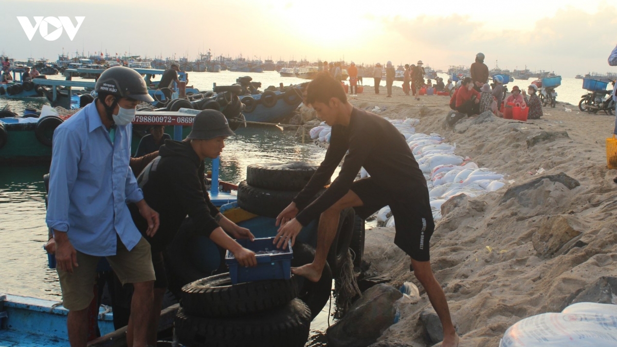 hoi thao ban giai phap thich ung phong ve thuong mai quoc te se dien ra ngay 28 11 hinh anh 2