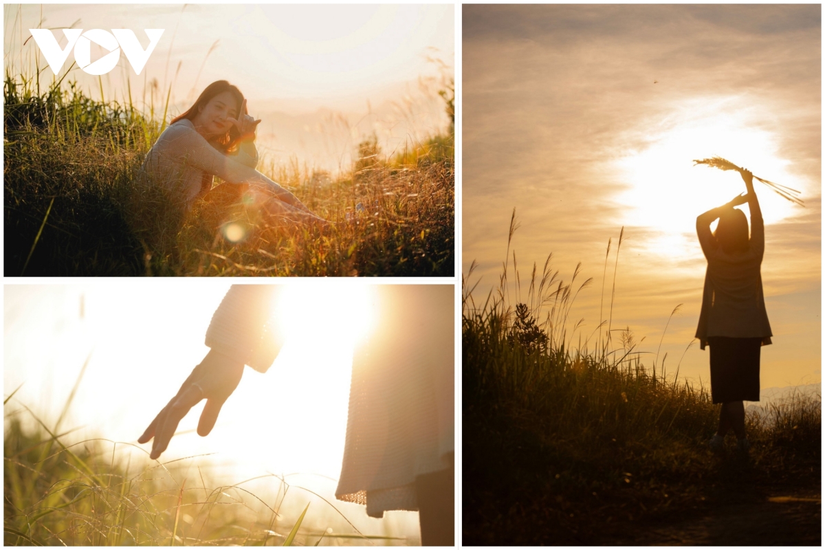 ពណ៌នៃផ្កាធ្លាក់ចុះជាមួយនឹងរូបរាងដ៏ស្រស់ស្អាតដោយគ្មានគុណវិបត្តិ។ រូបភាព ១០