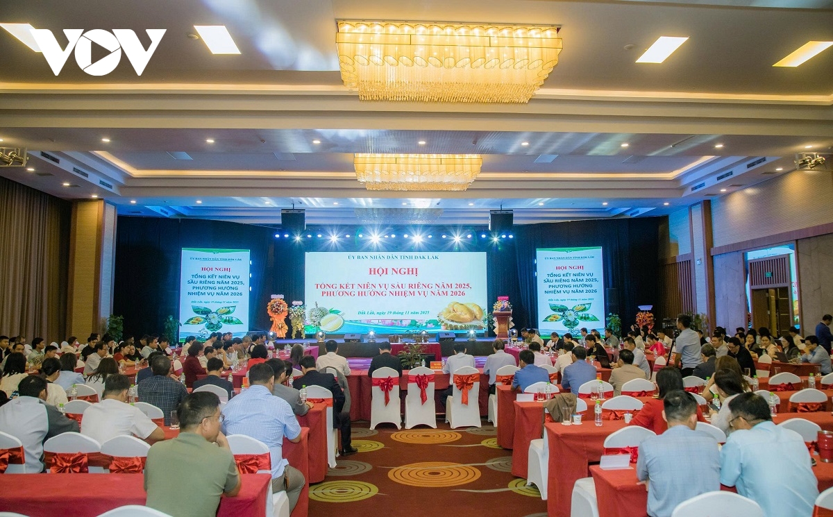 Quản lý mã số vùng trồng - Vấn đề nóng tại hội nghị sầu riêng Đắk Lắk