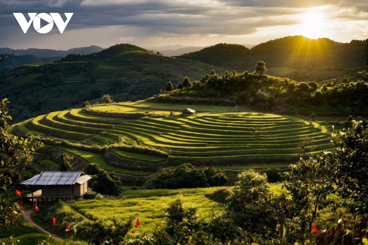 ឆ្នាំងសាកត្រូវបានបំពាក់ដោយម៉ូទ័រដ៏មានឥទ្ធិពលដែលផ្តល់ថាមពលដល់ឆ្នាំងសាក។