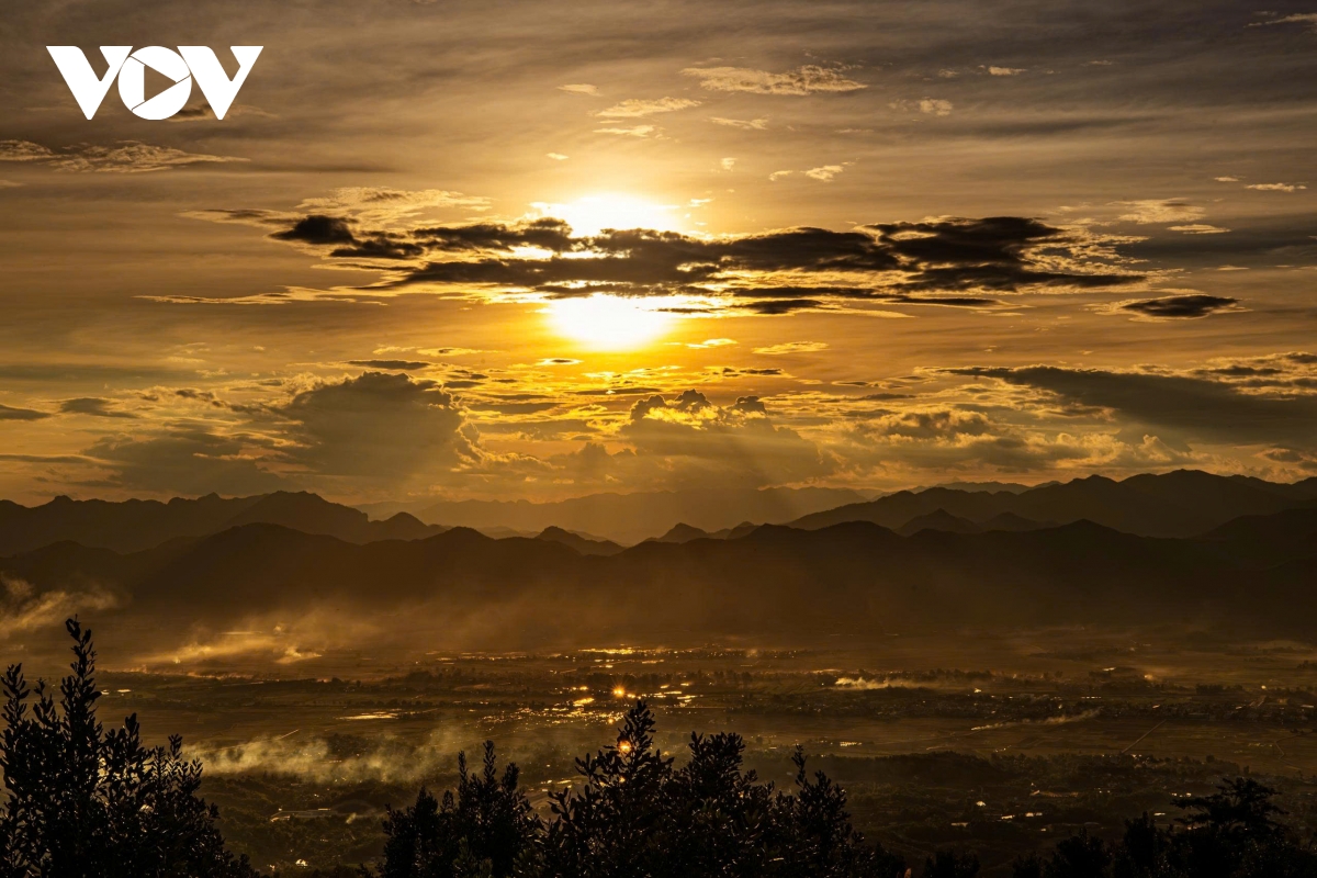 ពណ៌នៃផ្កាធ្លាក់ចុះជាមួយនឹងរូបរាងដ៏ស្រស់ស្អាតដោយគ្មានគុណវិបត្តិ។ រូបភាព ៥