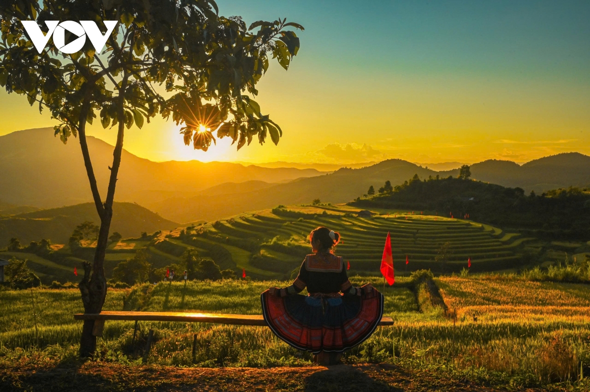 ពណ៌នៃផ្កាធ្លាក់ចុះជាមួយនឹងរូបរាងដ៏ស្រស់ស្អាតដោយគ្មានគុណវិបត្តិ។ រូបភាព ៦