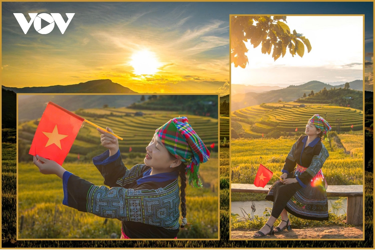 ពណ៌នៃផ្កាធ្លាក់ចុះជាមួយនឹងរូបរាងដ៏ស្រស់ស្អាតដោយគ្មានគុណវិបត្តិ។ រូបភាព ៧