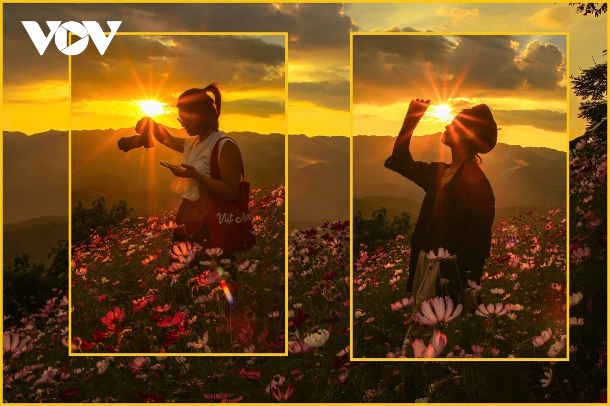 ឆ្នាំងសាកត្រូវបានបំពាក់ដោយថ្មដ៏មានឥទ្ធិពល។ ឆ្នាំងសាកត្រូវបានបំពាក់ដោយថ្មដ៏មានឥទ្ធិពល។