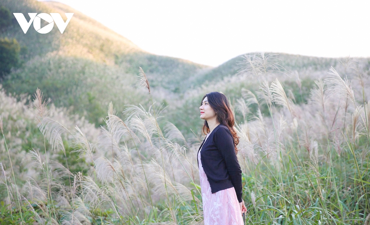 Dinți galbeni din ceramică, albi iarna pe mare, imaginea 9 din Quang Ninh