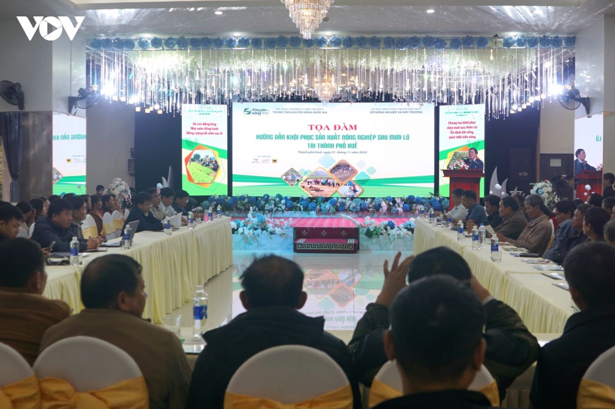huong dan khoi phuc san xuat nong nghiep sau mua lu tai thanh pho hue hinh anh 1