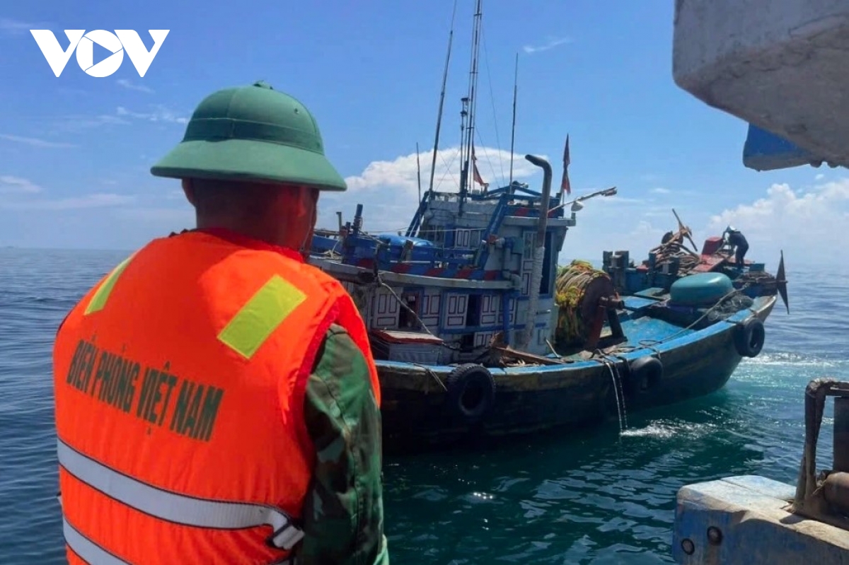 vietnam enforces strict, transparent measures against iuu fishing picture 1