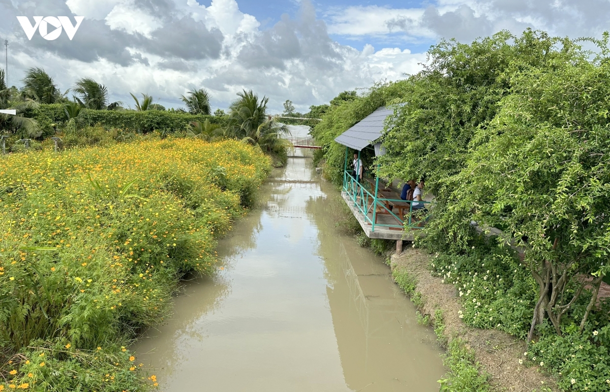 tu nong nghiep truyen thong den nong nghiep hien dai, sinh thai hinh anh 2
