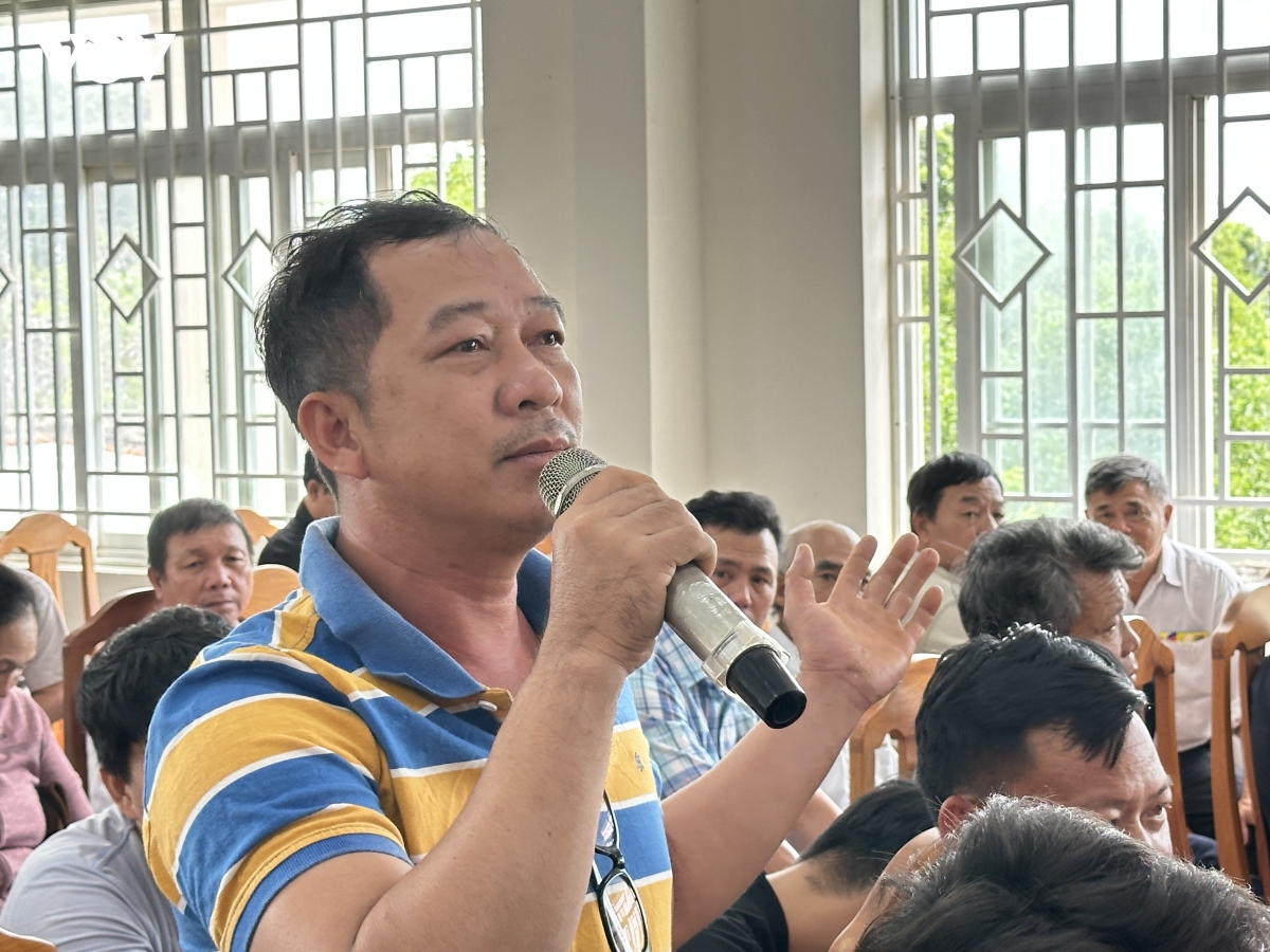phien toa gia dinh tai lam Dong canh tinh manh hanh vi vi pham iuu hinh anh 1