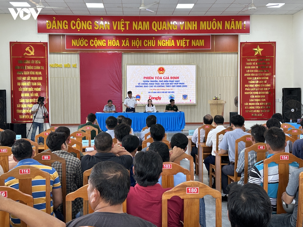 phien toa gia dinh tai lam Dong canh tinh manh hanh vi vi pham iuu hinh anh 2