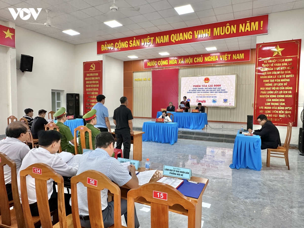 phien toa gia dinh tai lam Dong canh tinh manh hanh vi vi pham iuu hinh anh 3