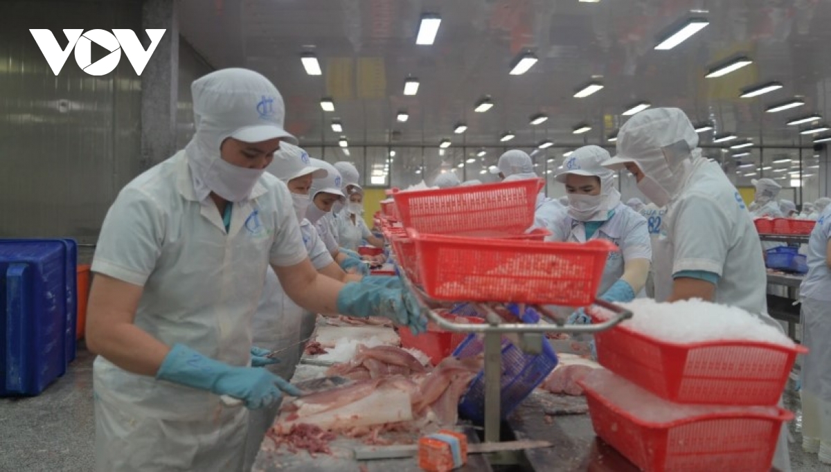 Rising demand boosts potential for Vietnam’s tra fish in Japan