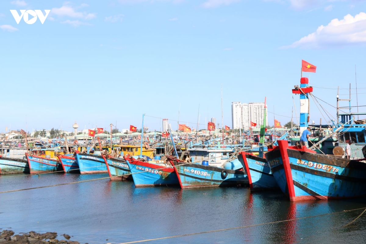 Da nang quyet liet ngan chan tau ca vi pham iuu hinh anh 3