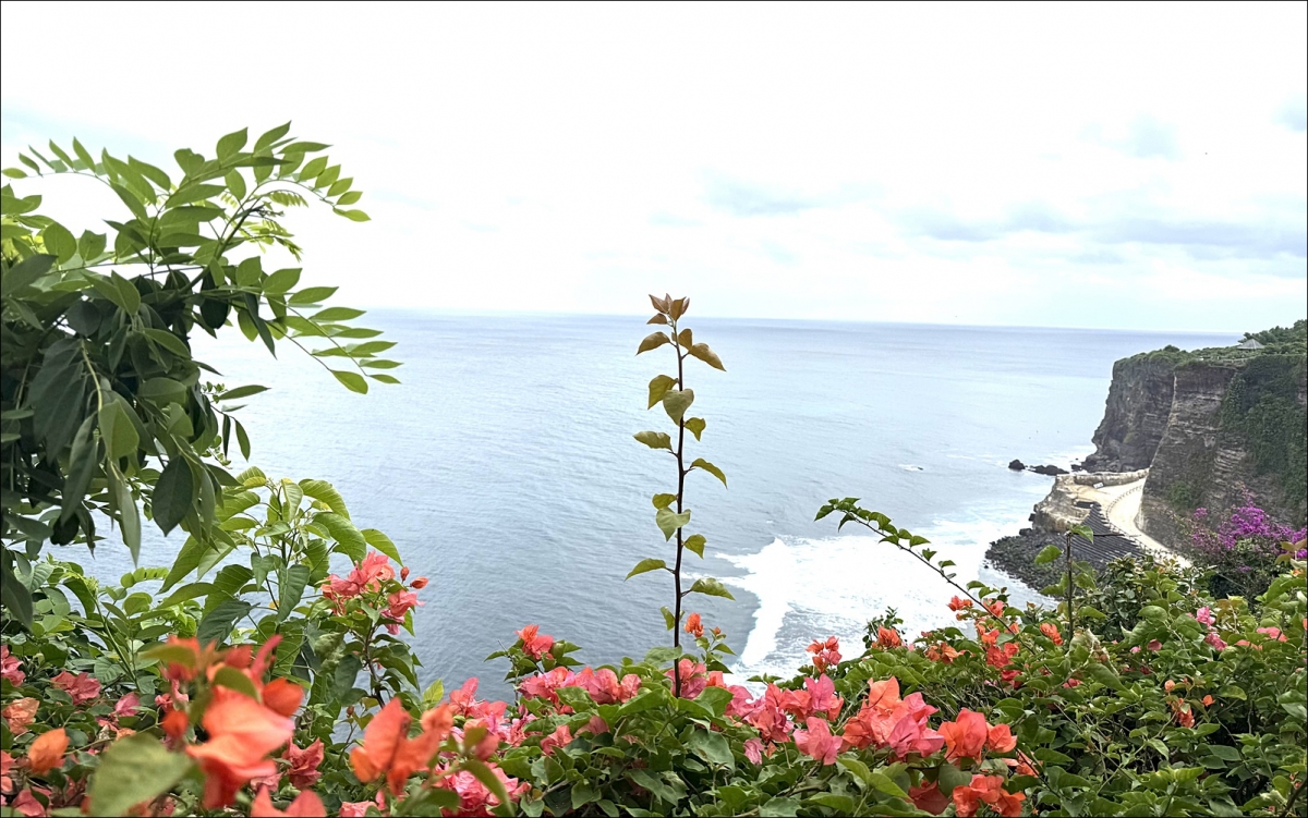bali indonesia can nhac cam tu nhan hoa bai bien hinh anh 1