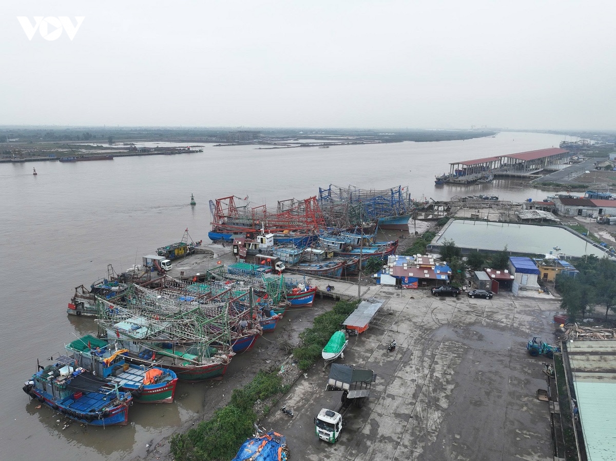 la chan thep giu vung vung xanh iuu o ninh binh hinh anh 1