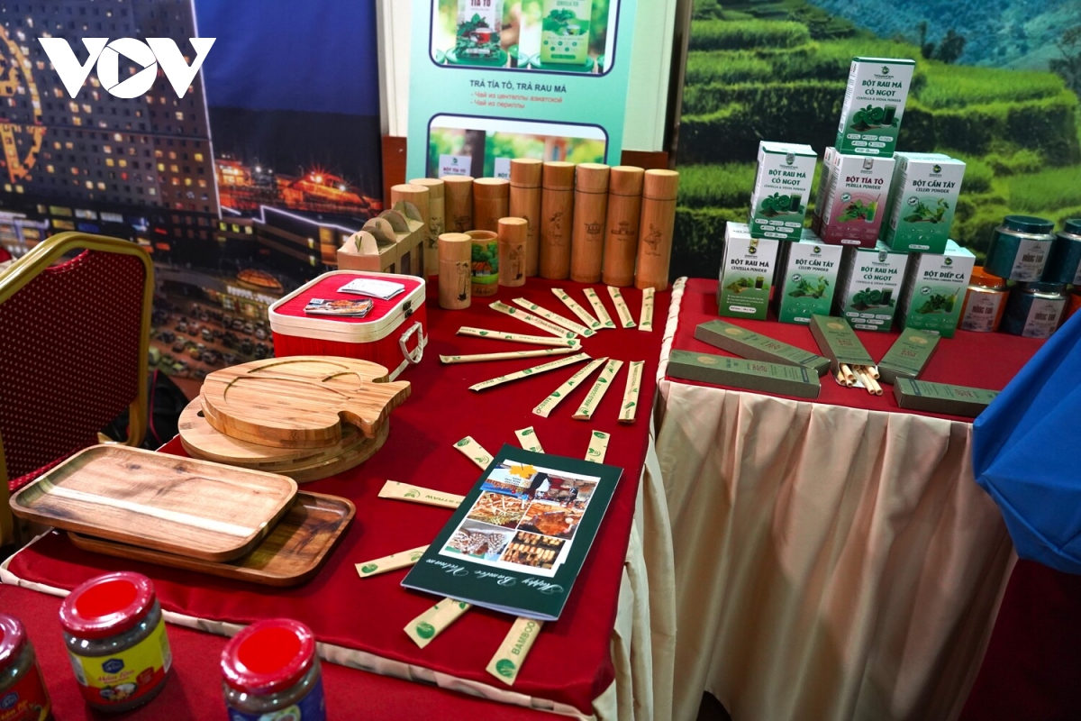 thanh hoa day manh xuc tien dau tu, thuong mai va du lich tai lien bang nga hinh anh 6