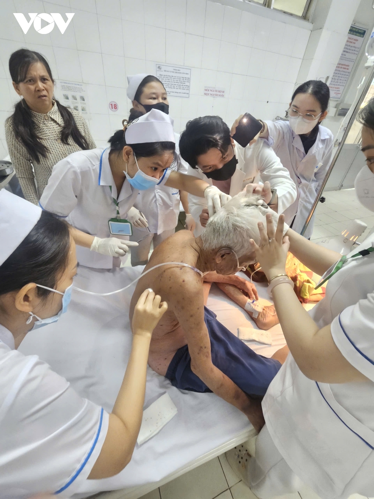 Ông lão 74 tuổi bị ong đốt hơn 100 vết tại Đồng Tháp