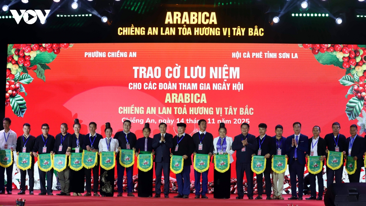 ngay hoi ca phe arabica chieng an son la lan toa huong vi tay bac hinh anh 5