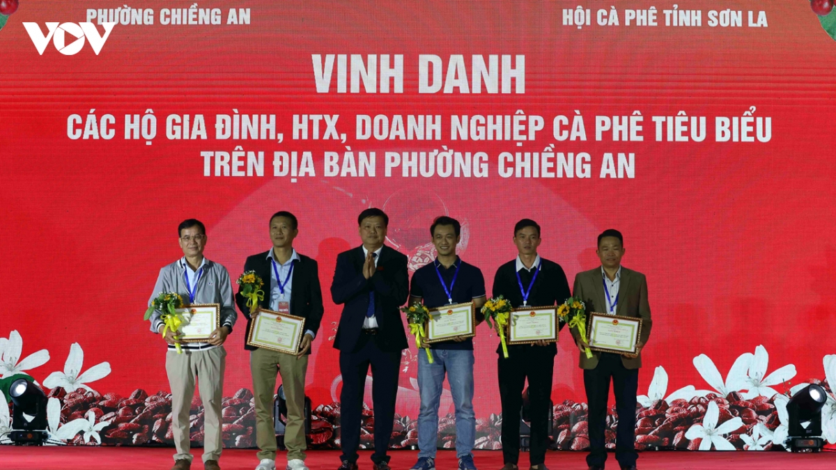 ngay hoi ca phe arabica chieng an son la lan toa huong vi tay bac hinh anh 6
