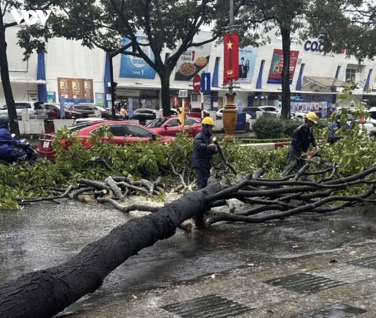 Đắk Lắk căng mình ứng phó bão số 13: Sóng to, gió mạnh, hàng loạt cây xanh ngã đổ