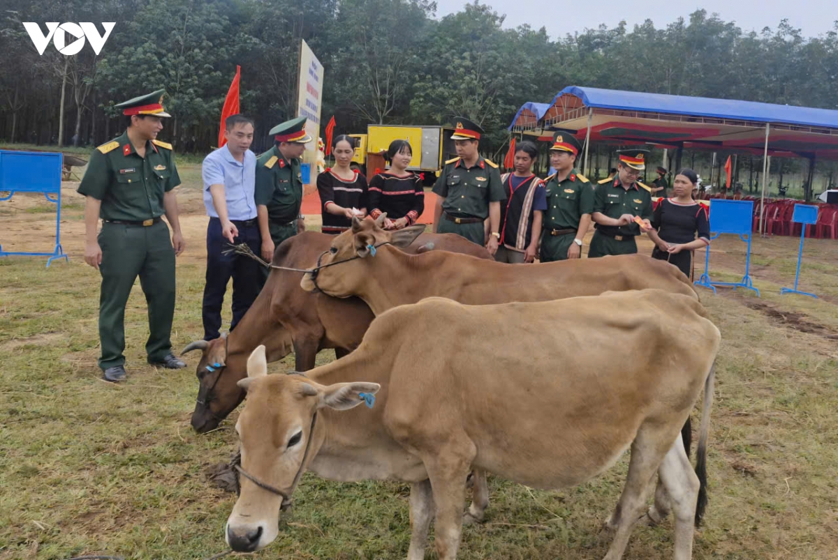 dan van kheo ket noi suc manh quan - dan o gia lai hinh anh 2