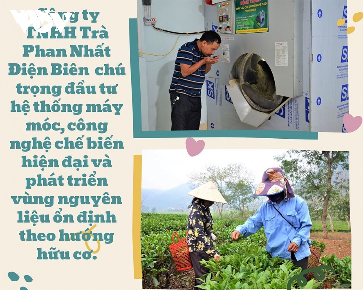 222 du an duoc chap thuan chu truong dau tu tai Dien bien hinh anh 4