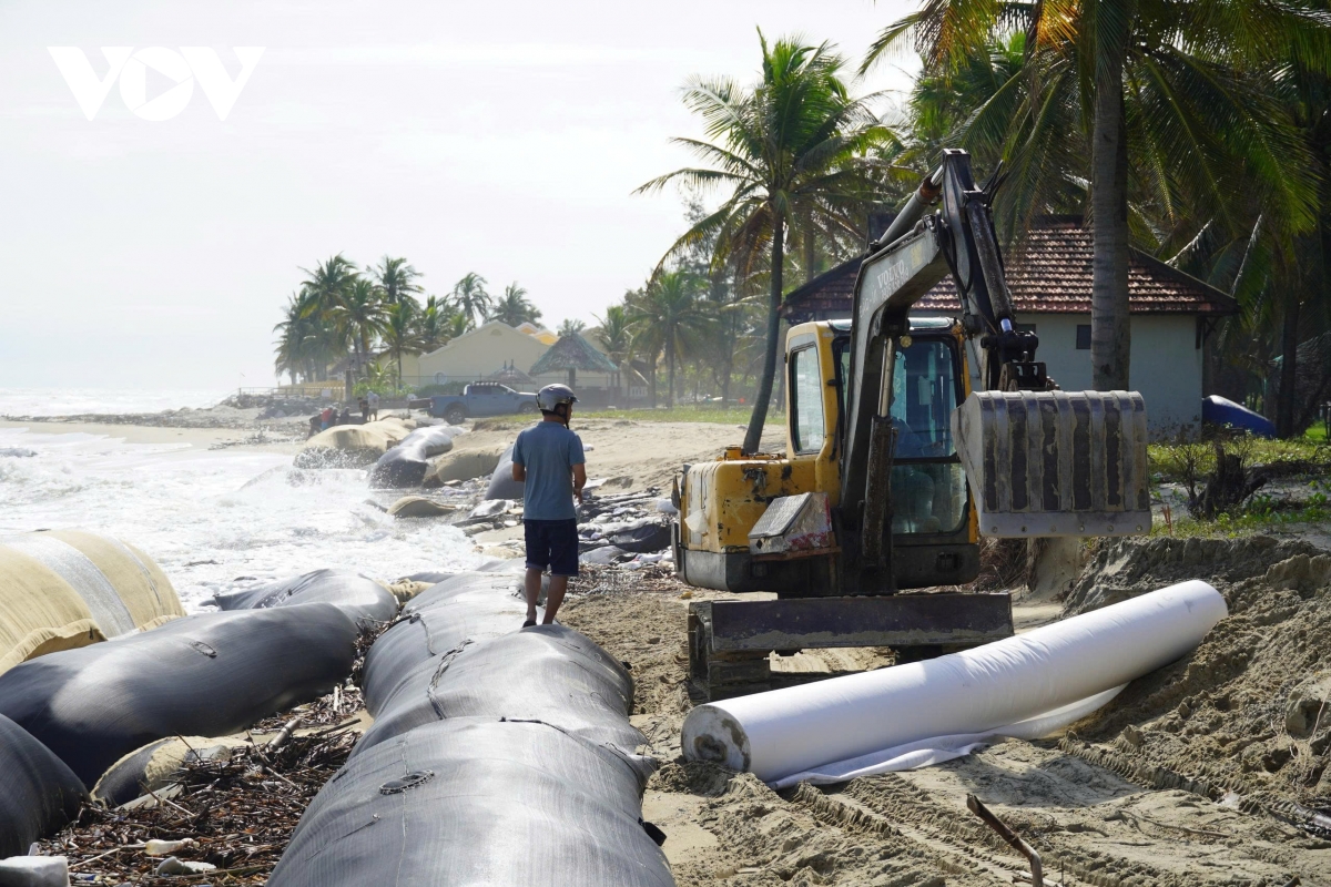 Bão số 13 đang tiến gần: Bờ biển Cửa Đại, Hội An bị xói lở nghiêm trọng
