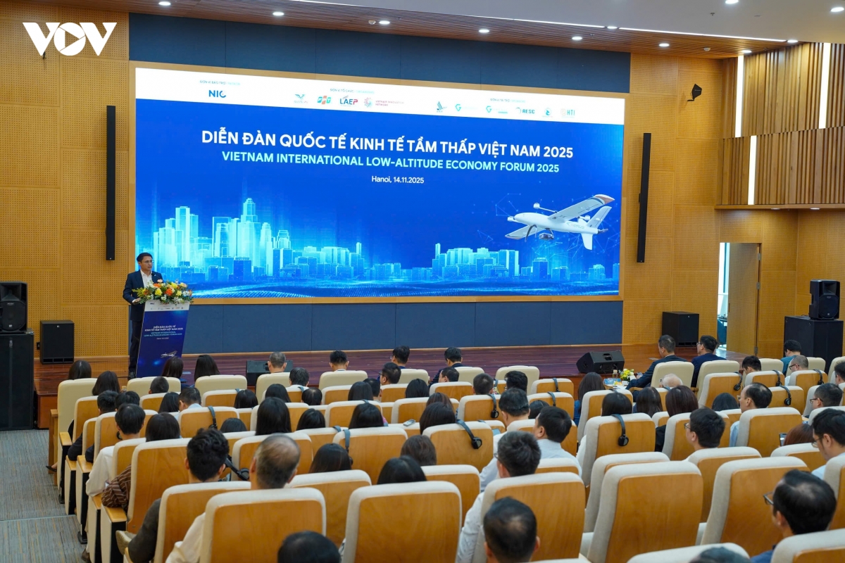 viet nam co day du loi the de tro thanh trung tam kinh te tam thap hinh anh 1
