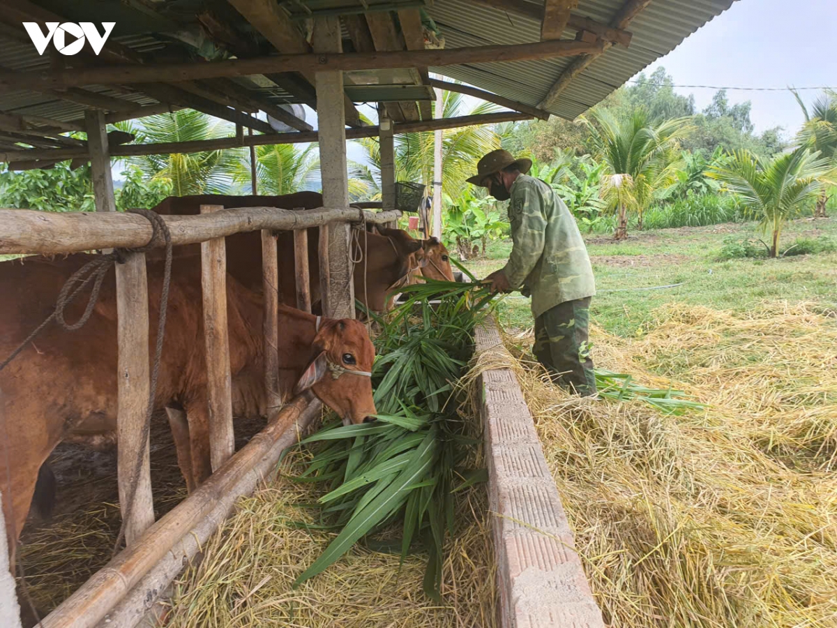 gia ksor bong - diem tua cua lang vung bien gioi gia lai hinh anh 3