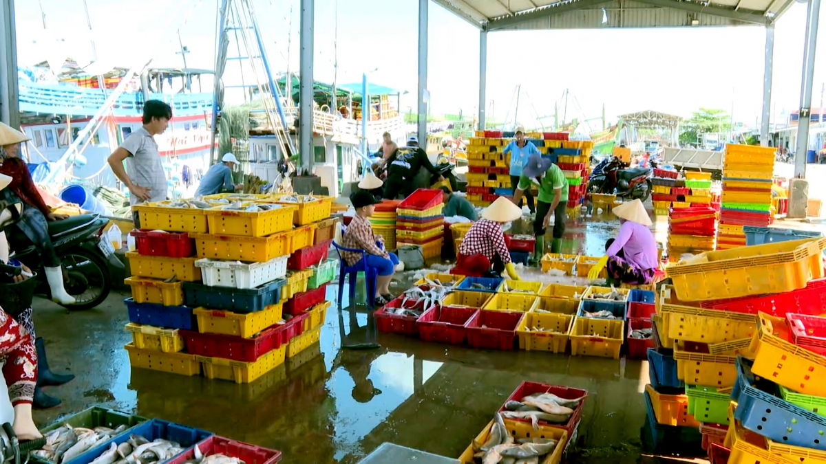 vinh long chong khai thac iuu, huong toi phat trien nganh thuy san ben vung hinh anh 5
