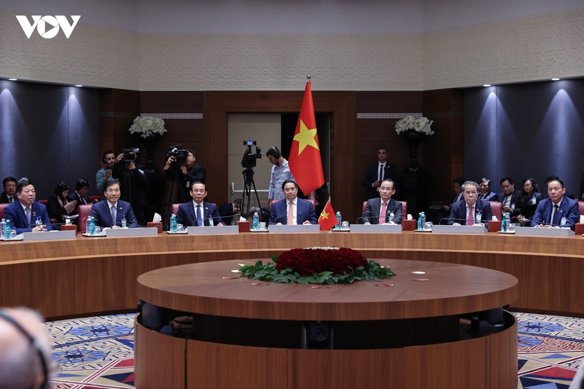nang cap quan he viet nam - algeria len Doi tac chien luoc hinh anh 2